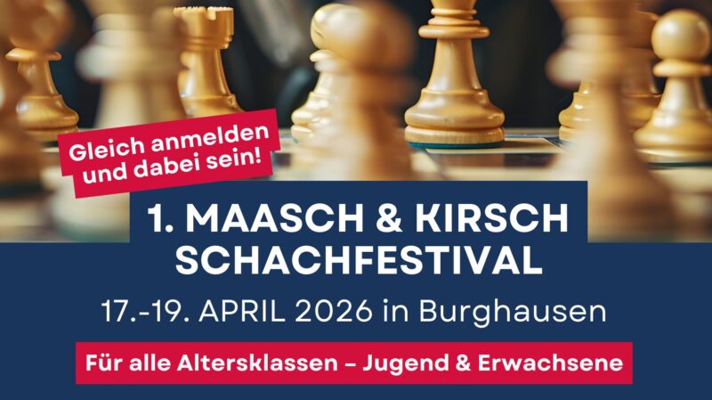 5 e1773845349660 800x449