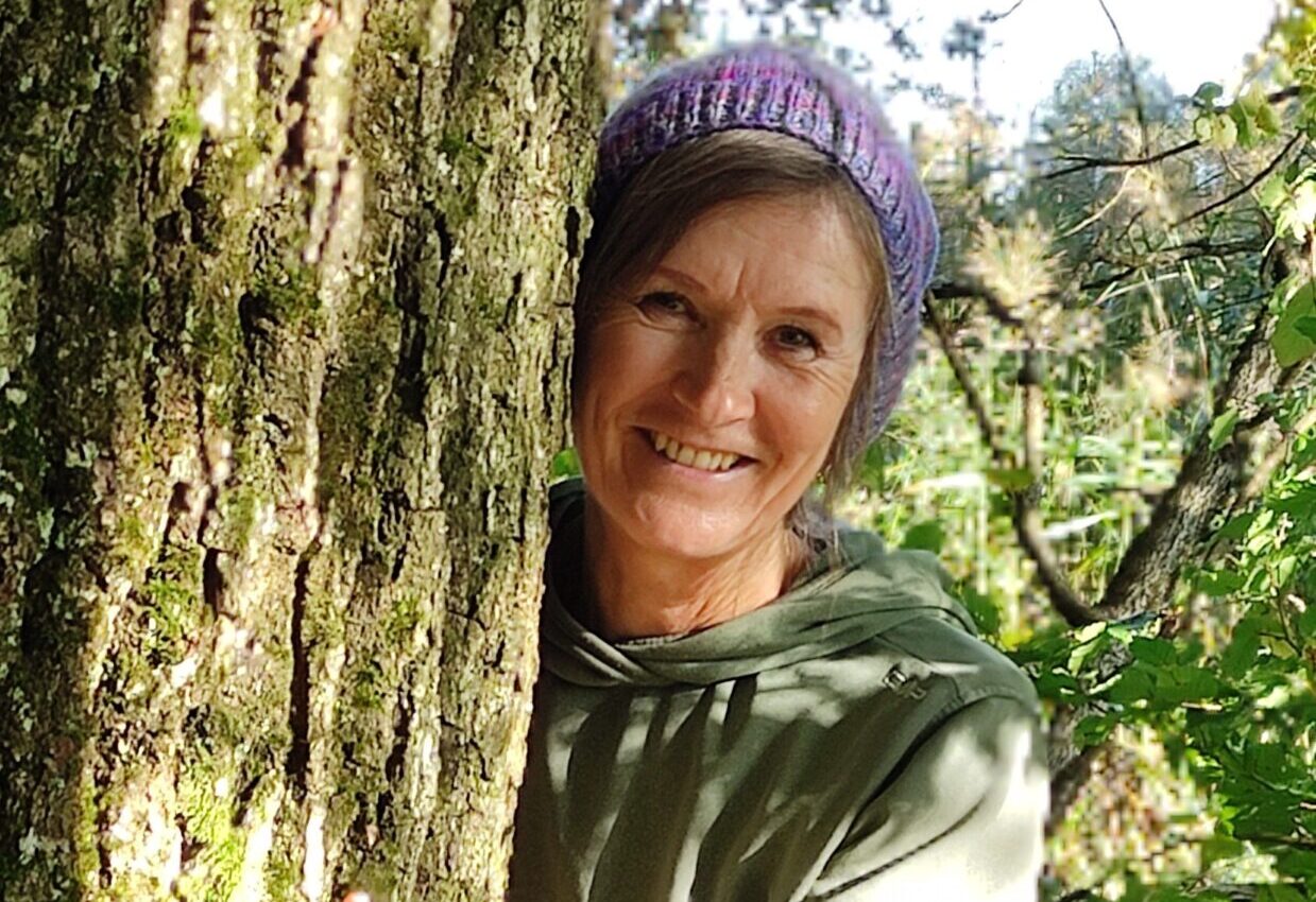 Brummer e1773390270385