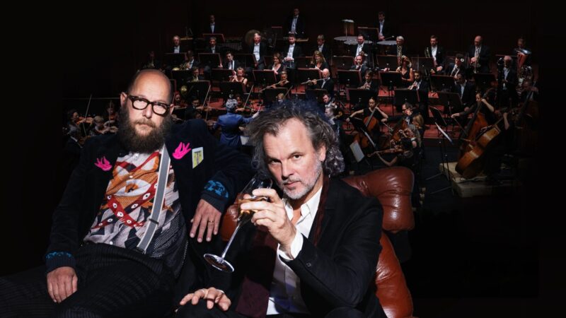 Dreiviertelblut 800x450